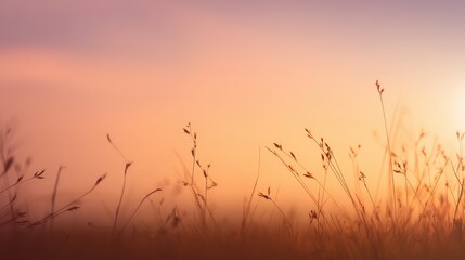 Obraz premium Gentle Breeze in a Peaceful Meadow at Sunset with Tall Grasses and Soft Pastel Hues Creating a Serene Atmosphere for Nature Lovers and Tranquil Retreats