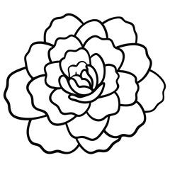 Marigold with Layered Petal Texture line art vector