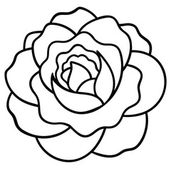 Peony with Layered Petals line art vector