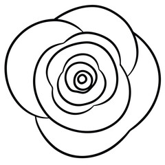 Ranunculus Spiral Bloom line art vector