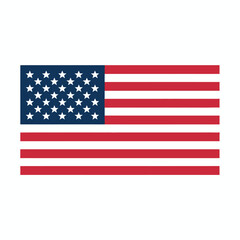 Flag American vector icon illustration design template