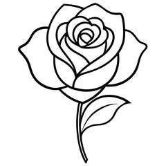 Single Rose in Bloom line art vector