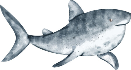 watercolor shark