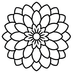 Zinnia Flower line art vector