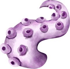 watercolor octopus