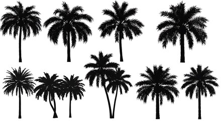 Midnight Palms AI Generated