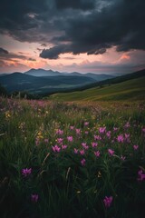 Obraz premium Sunset over mountain meadow with wildflowers
