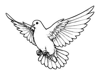 dove in flight with wings spread carrying branch