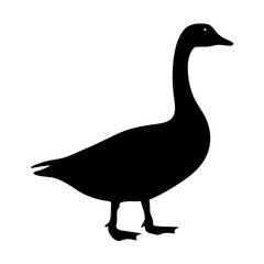Silhouette of a standing goose showing its graceful neck and plump body