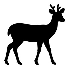 Fototapeta premium Elegant Silhouette of a Majestic Deer Walking with Graceful Posture and Antlers