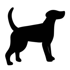 silhouette of a dog on white transparent background 