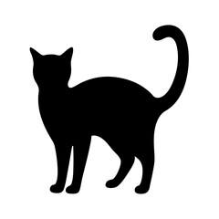 A striking black cat silhouette standing gracefully with its tail curved upwards