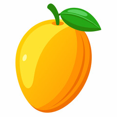 Single Ripe Apricot Fruit with Leaf Illustration