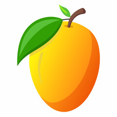 Single Ripe Apricot Fruit with Leaf Illustration