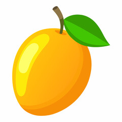 Single Ripe Yellow Apricot with Green Leaf Illustration