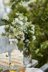 A delicate bouquet of Spiraea flowers paired with a vibrant lemon cake, creating a fresh and elegant composition. Perfect for themes of beauty, celebration, and culinary artistry