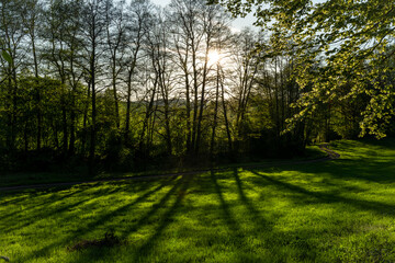 Color spring view in Orlicke mountains with green forests and meadows in evening