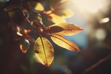 Golden Leaves Dancing in the Soft Sunlight
