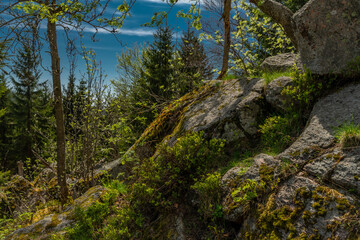 Color spring view in Orlicke mountains with green forests and meadows with rocks