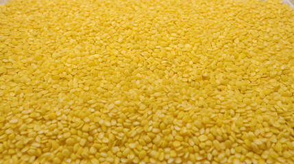 Maiz criollo mexicano