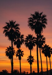 Obraz premium Sunset Silhouette Serenade AI Generated