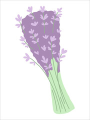 Lavender bouquet cartoon flat illustration