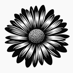 Sunflower head, flat silhouette, white background 