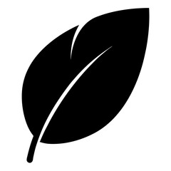 Single black leaf isolated on a white background, symbol of nature