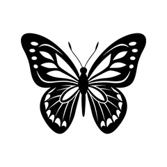 butterfly illustration butterfly icon silhouette vector