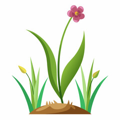 Single Pink Flower with Green Leaves and Buds in Soil