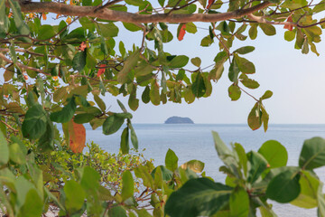 A peaceful view of the sea framed by vibrant green leaves. In the distance, a small island is visible under a clear sky, showcasing Thailand's natural beauty and serene atmosphere.