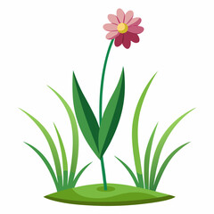 Single Pink Flower with Green Leaves and Grass