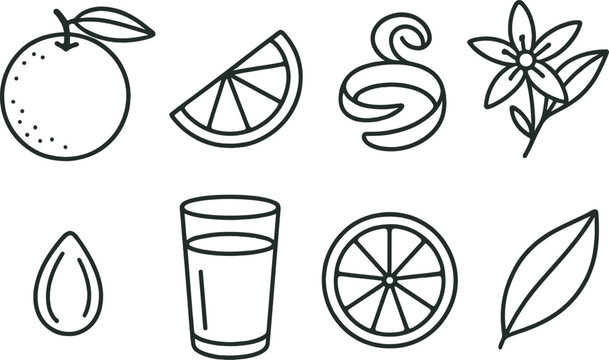 Citrus and botanical outline icons set – simple, plant and fruit symbols