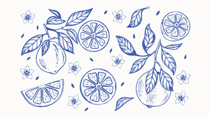 Hand drawn illustration of lemons leaves and flowers perfect for adding a fresh vibrant touch to your designs