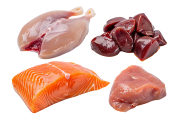 A display of raw animal protein sources including chicken breast salmon fillet liver and turkey meat cuts on transparent background