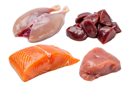 A display of raw animal protein sources including chicken breast salmon fillet liver and turkey meat cuts on transparent background
