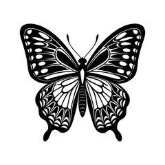butterfly vector art silhouette