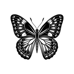 butterfly vector art silhouette