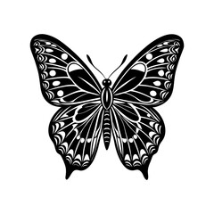 butterfly vector art silhouette