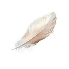 Single Delicate Pale Pink Feather Isolated on Transparent Background
