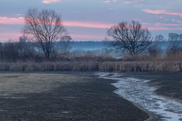 winter landscape