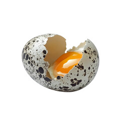 Broken Quail Egg with Visible Yolk - Close-up Studio Shot
