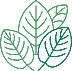 Outline icons of tropical leaves, green vector outline