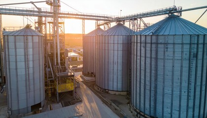 Industrial Grain Silo Interior with Robotic Pickers at Golden Hour