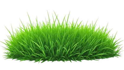 Obraz premium Lush Green Grass Tuft, Isolated on White Background, Perfect for Nature Scenes and Designs