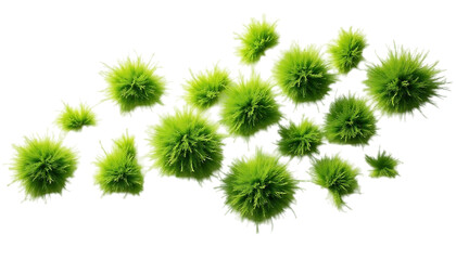Vibrant Green Grass Tufts Perfect for Model Scenery and Dioramas