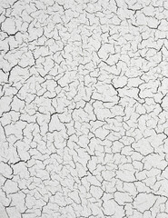 Close up photo of a layer of cracked white paint on a black surface.