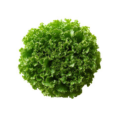 Obraz premium Fresh Green Lettuce Head, Top View, Isolated on Transparent Background