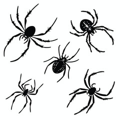 Five black spider silhouettes on a white background, varying in design and detail, with some showing textured bodies and others more minimalistic.