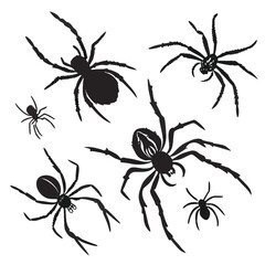 The image displays six black silhouette illustrations of spiders in various shapes and sizes, positioned on a white background.